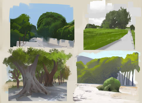 Trees studies