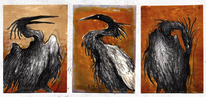 ACEO CARD Black herons