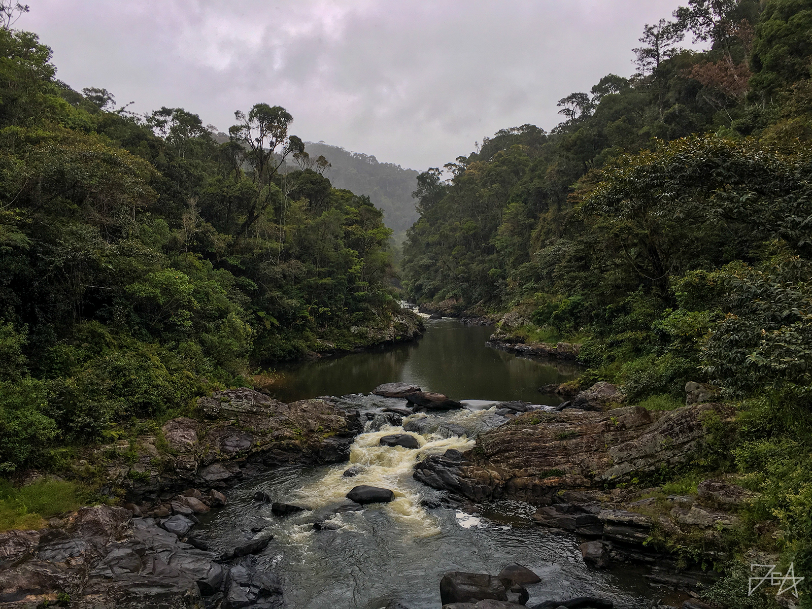 Ranomafana Rainforest