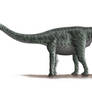 Rinconsaurus Profile