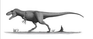 Daspletosaurus Profile