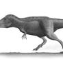 Tarbosaurus Profile