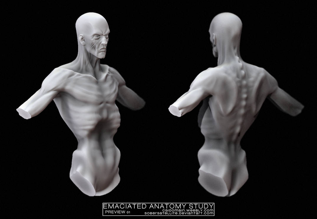 Emaciated Back Emaciated Anatomy Study by SoberSatellite on DeviantArt