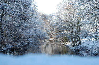 Snowy river