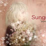 Super Junior 6 jib 'Sexy Free + Single' Sungmin