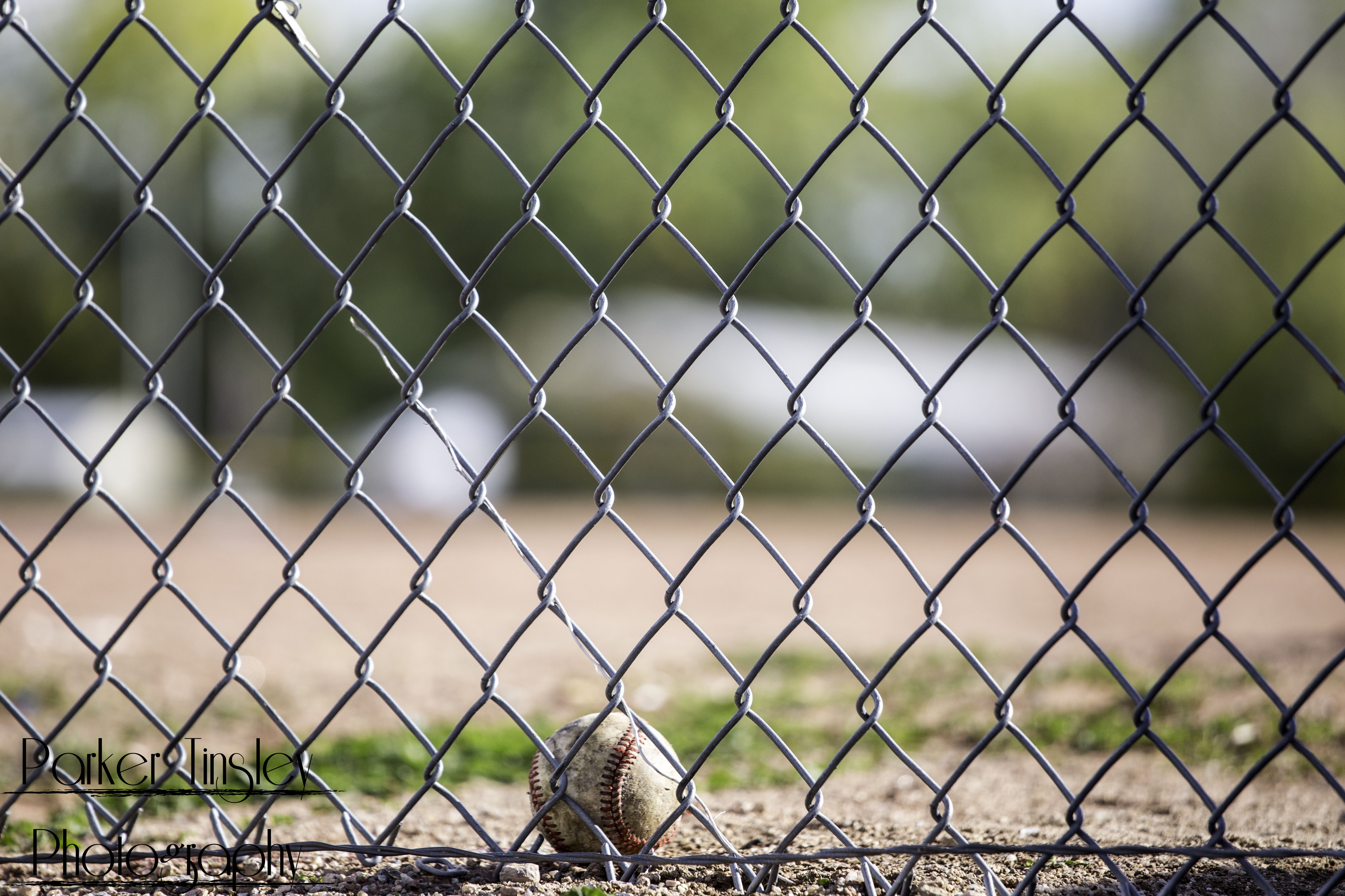 On the Fence