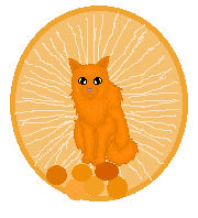 Orange Cat