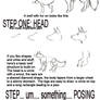 Basic Wolf Tutorial