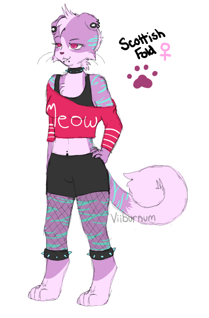 Punk Cat Adopt (CLOSED)