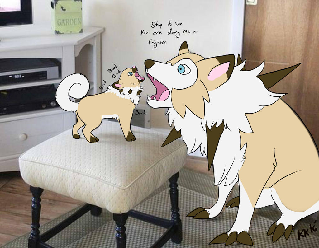 You Re Doing Me A Frighten Rockruff By Krocutakaiju On Deviantart You Re Doing Me A Frighten Rockruff By Krocutakaiju On Deviantart