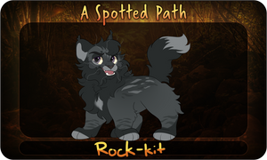 ASP: Rock-kit