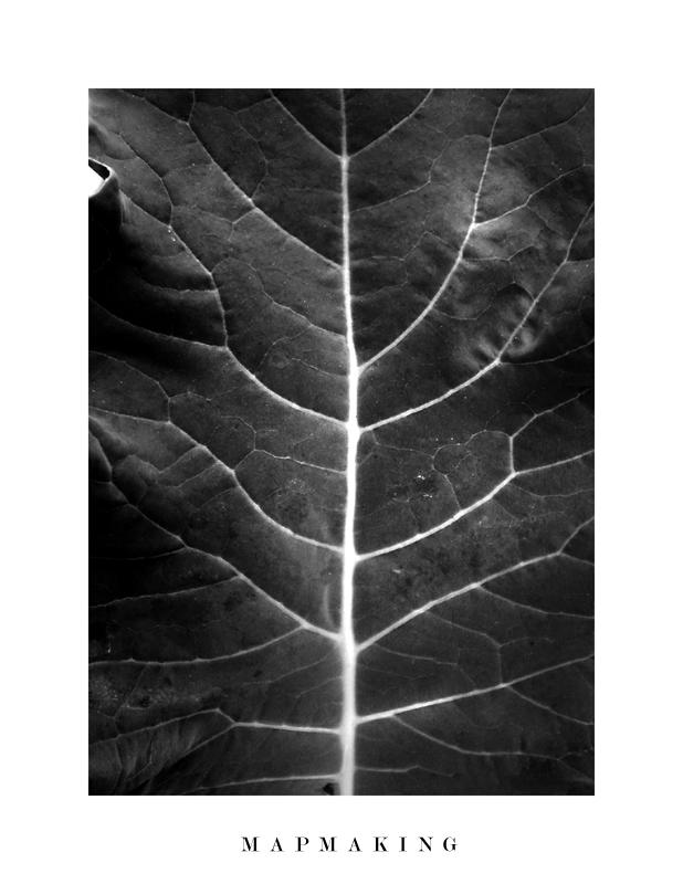 Mapmaking by bejewelledbeast on DeviantArt