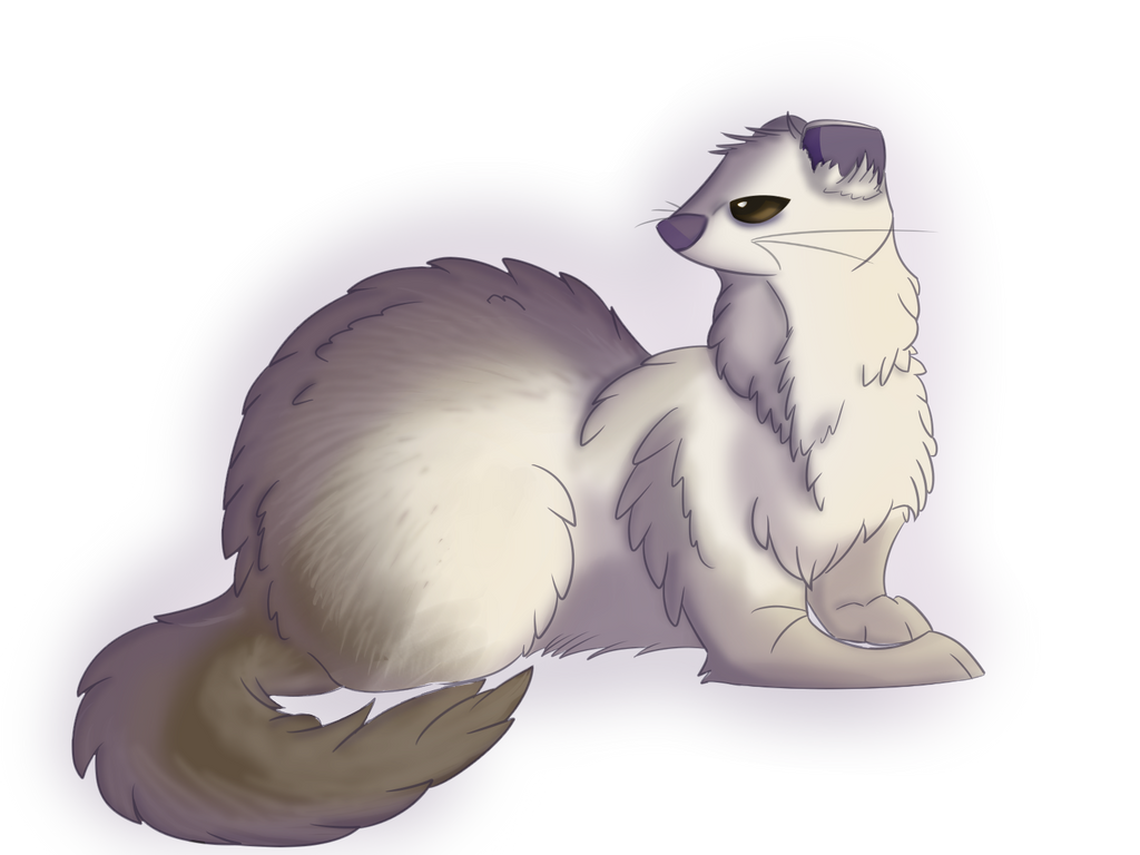 Bumpy Ferret Grumpy Ferret by SkyShay on DeviantArt