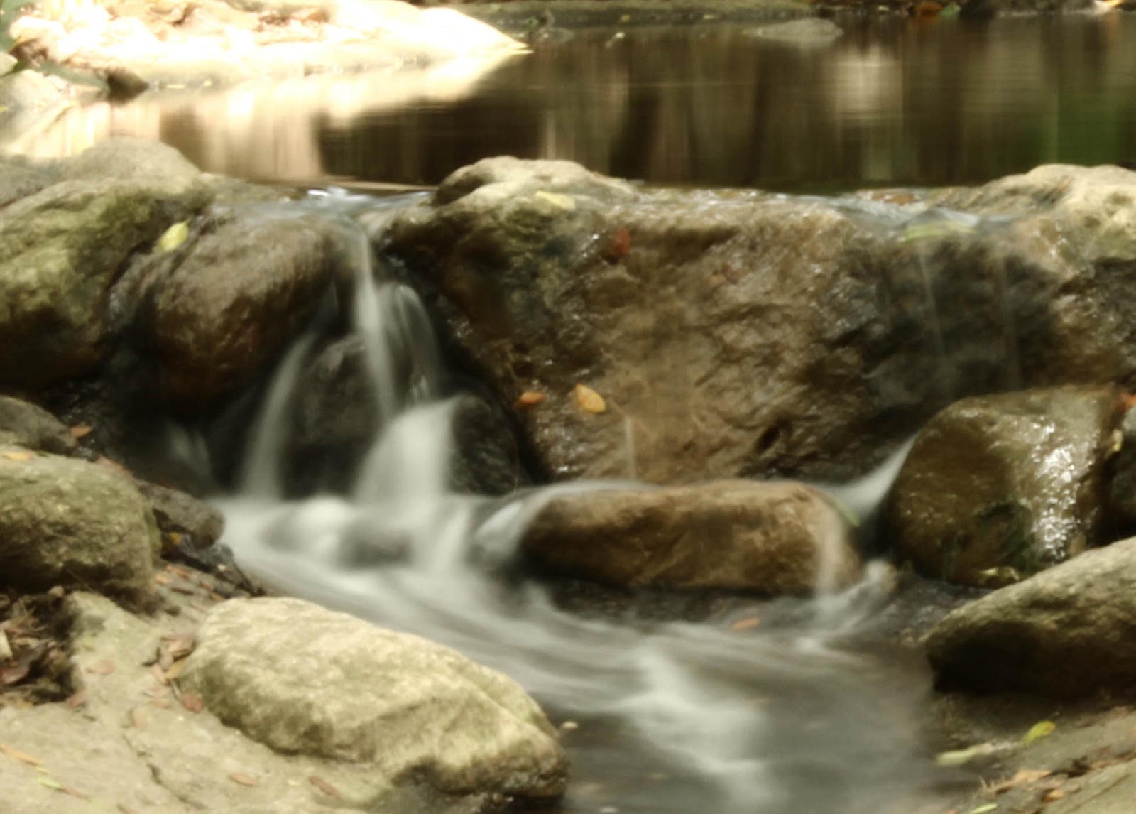 in the river