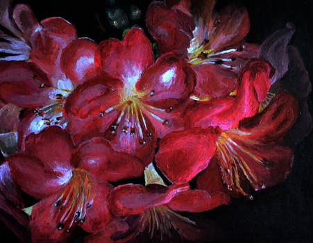 Glowing Pink Flowers