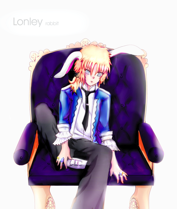 Lonely rabbit