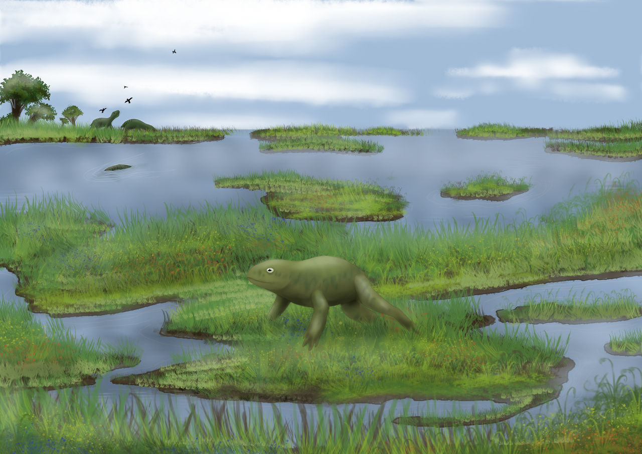 Swamp creatures by ChaosLizord on DeviantArt