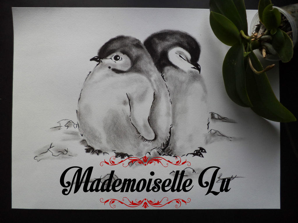 Bebe Pingouin By Princedelulu On Deviantart Bebe Pingouin By Princedelulu On Deviantart