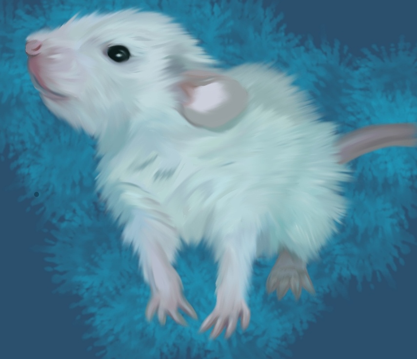 Baby Rex Rat by boogeybug on DeviantArt