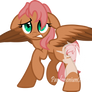 Fluttershy X Doctor Hooves Ship