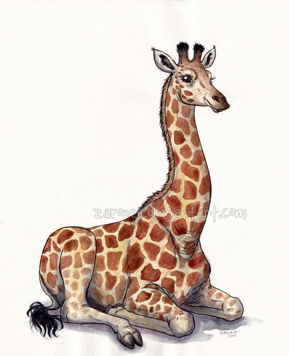 Giraffe