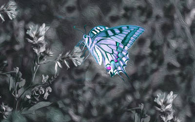 Colour Splash Butterfly