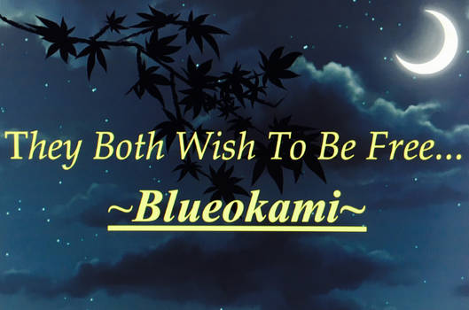 ~Blueokami~
