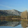 morning on the lake