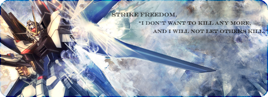 Strike Freedom Grunge Sig