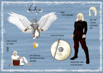 (OC) Veidja - Charactersheet