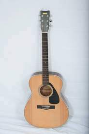 Acoustic Guitar