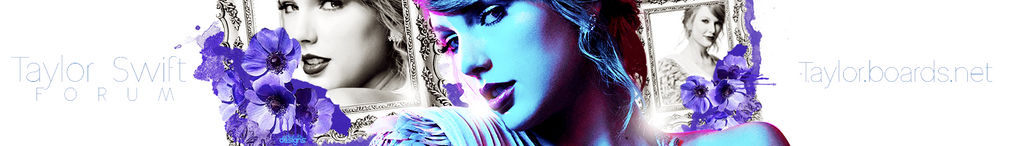 Taylor Boards Banner