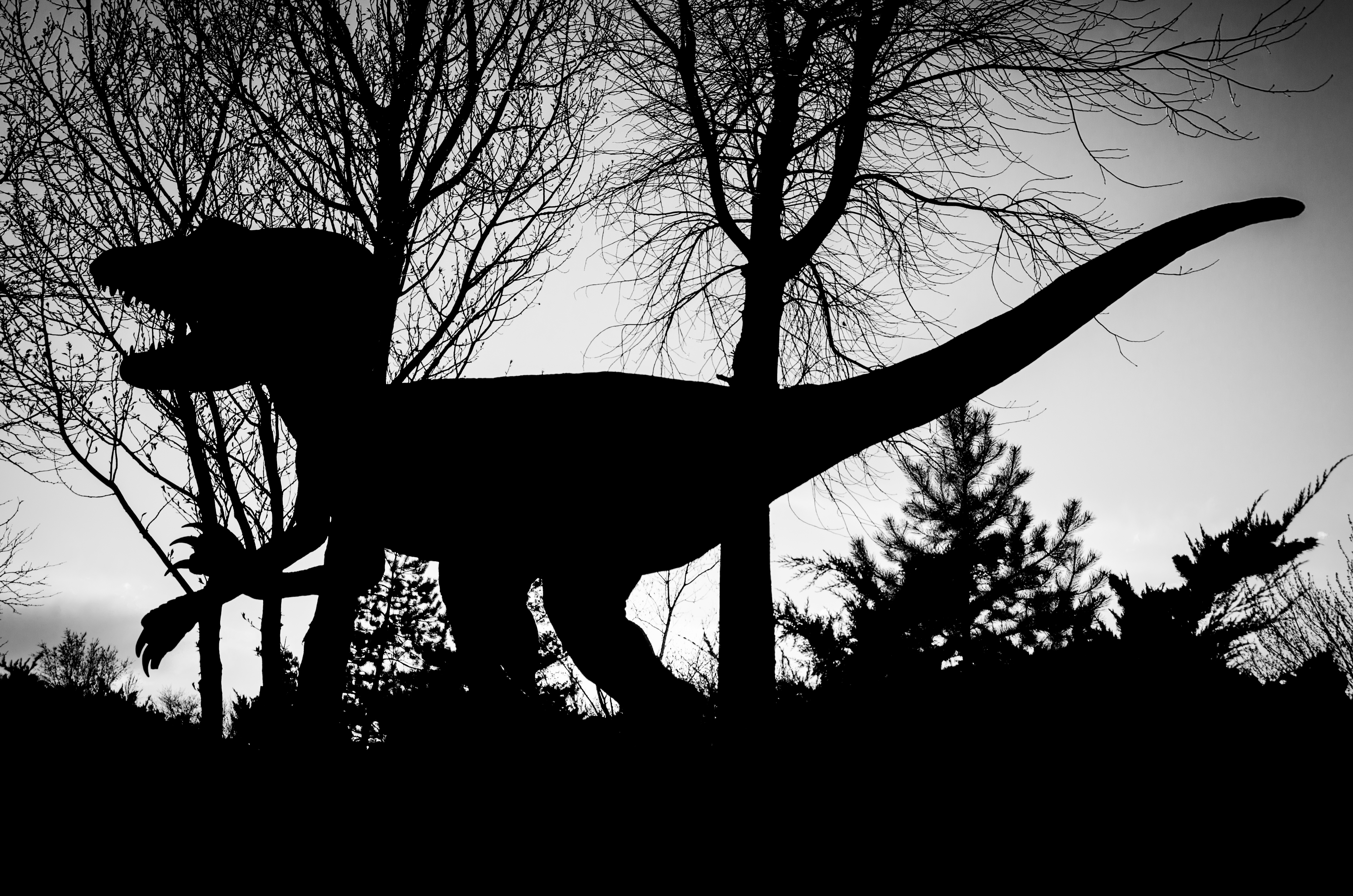 Marshosaurus