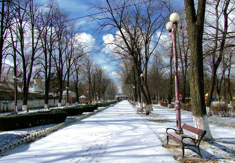 Iarna in Parcul Cancicov v2