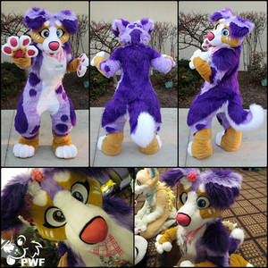 Jenna fursuit
