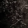 Hanging In The Dark