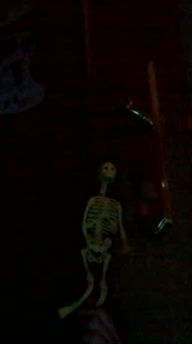 skull on my door