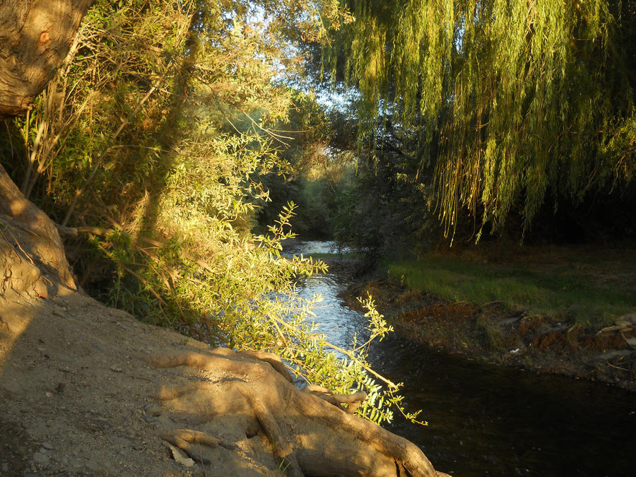 Wiled Rivers Old Willowed River by Willowedwolf on DeviantArt