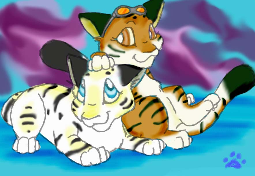 Tiger Buddies