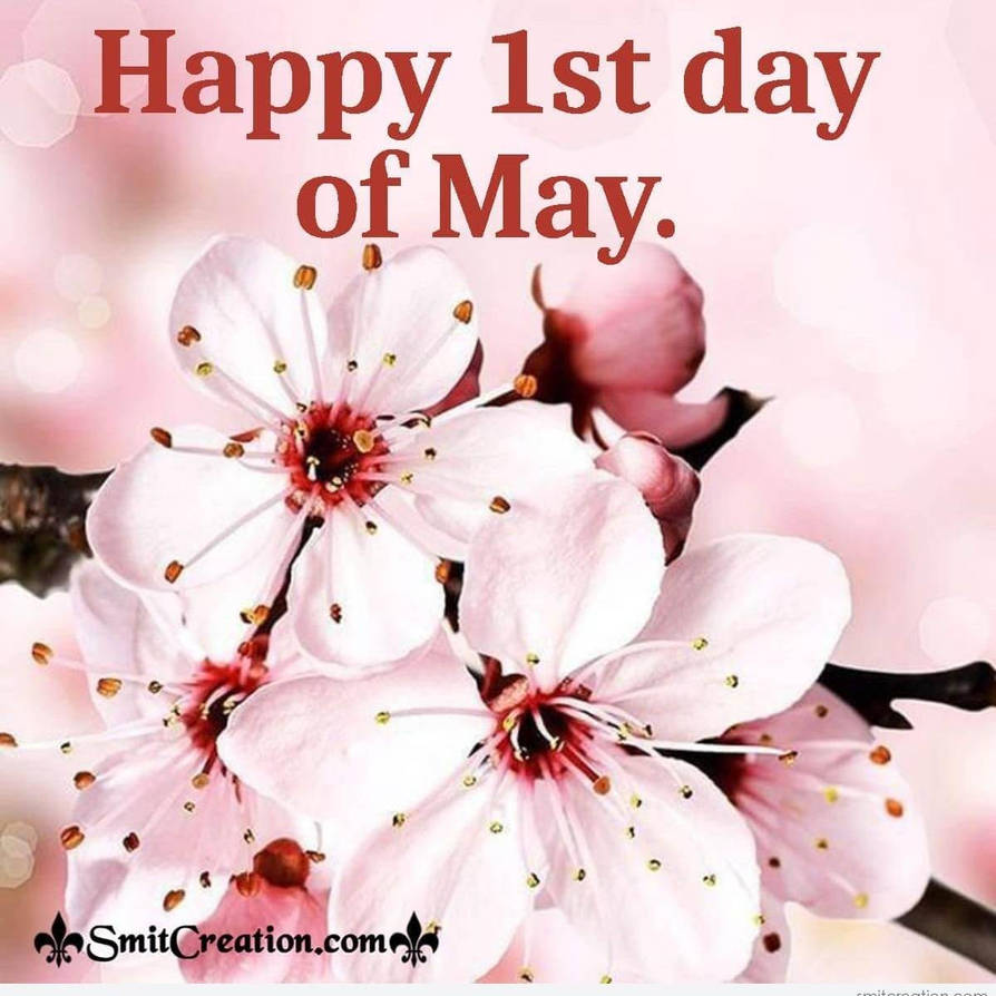 First May Now Happy first day of may by JonTin5 on DeviantArt