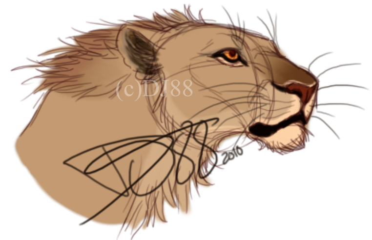 lion sketcher thing