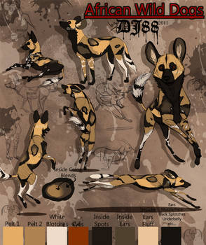 African Wild Dogs