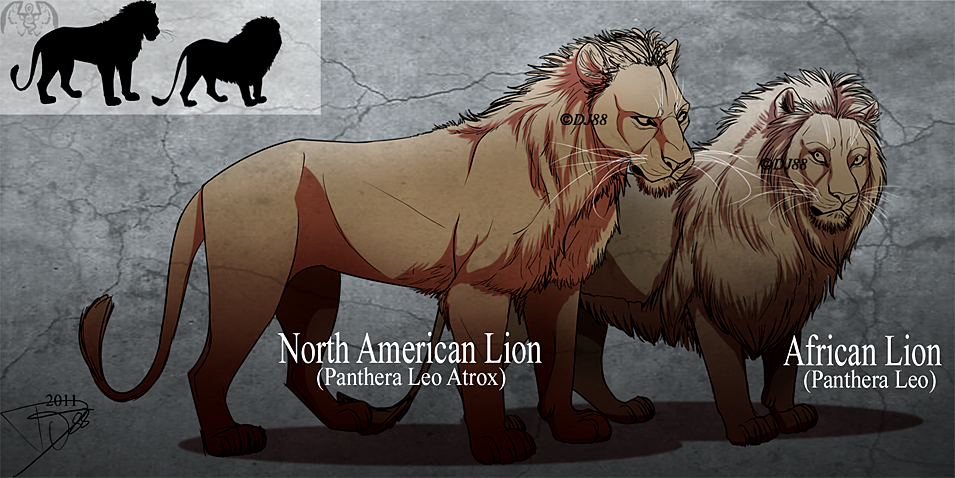 cave lion size comparison