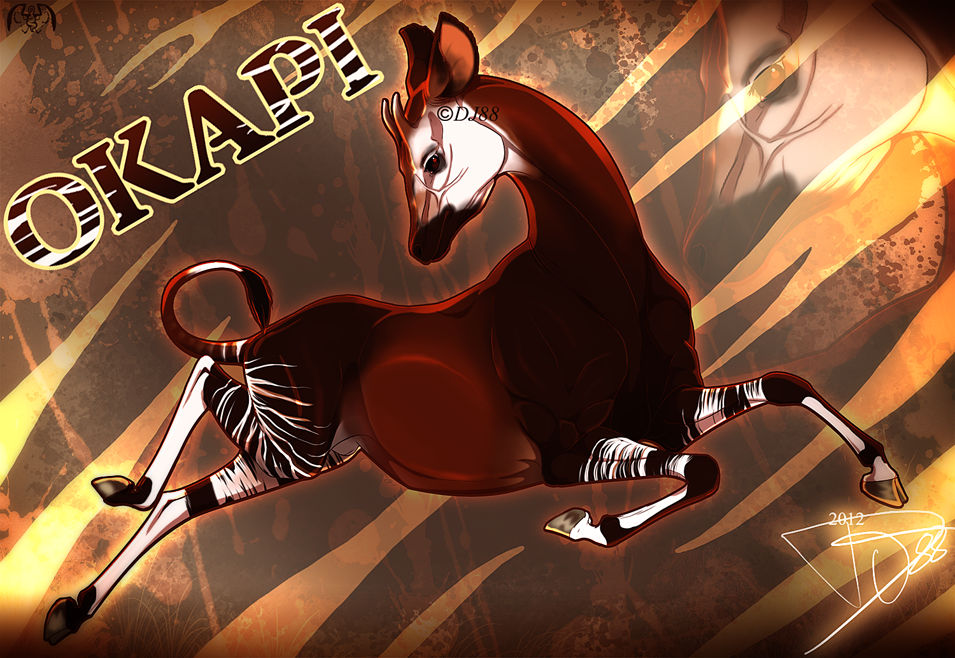 Okapi by DJ88 on DeviantArt