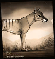 ....Thylacine....