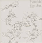 Pumpkin Sketches by DJ88