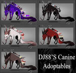 $35 Strange Canines Adopts Open by DJ88