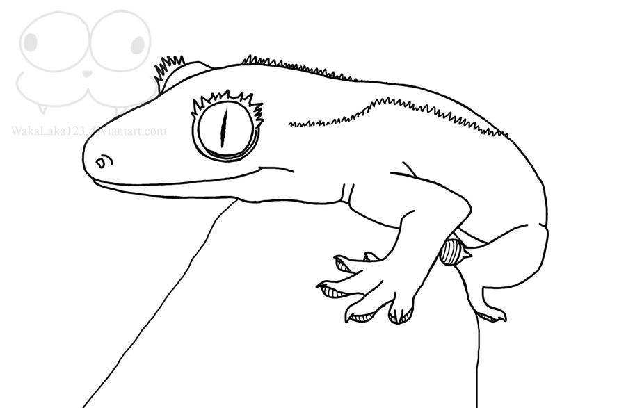 Gecko Lineart 3