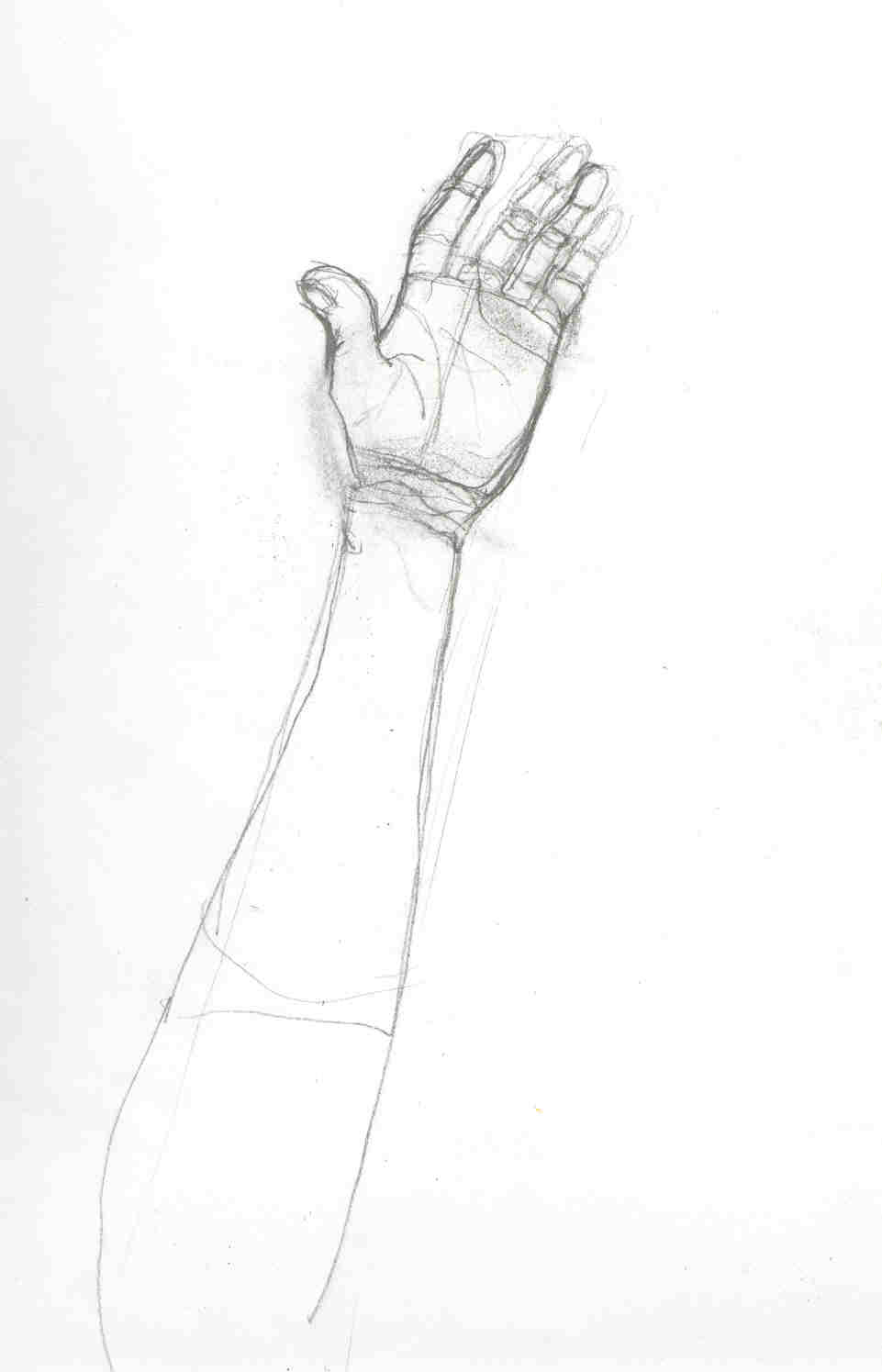 Left Hand-forearm sketch by NocturnalRadiance on DeviantArt