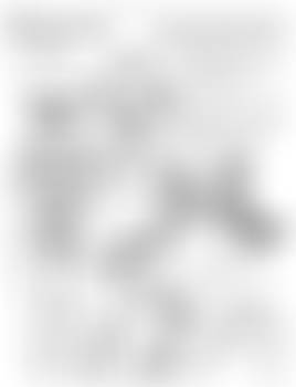 Kinky Genki Gaiden: Bonyuna